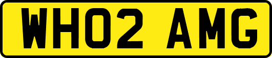 WH02AMG