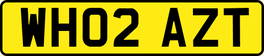 WH02AZT