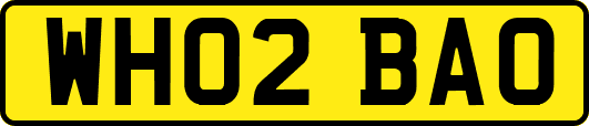 WH02BAO