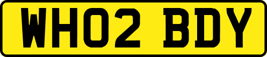 WH02BDY