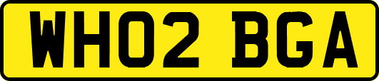 WH02BGA
