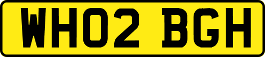 WH02BGH