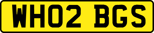 WH02BGS