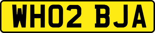 WH02BJA