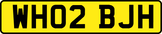 WH02BJH