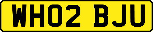 WH02BJU