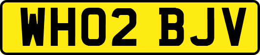 WH02BJV