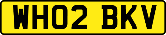 WH02BKV