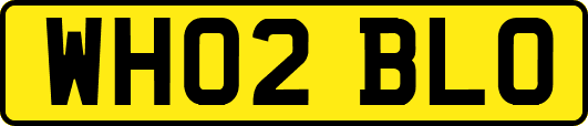 WH02BLO