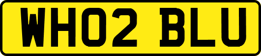 WH02BLU