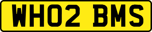 WH02BMS