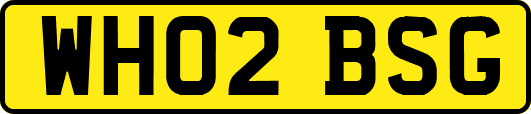 WH02BSG