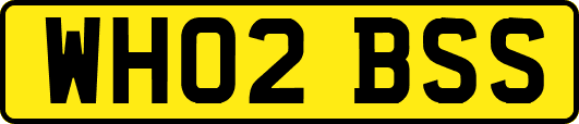 WH02BSS