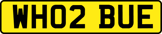 WH02BUE