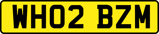 WH02BZM