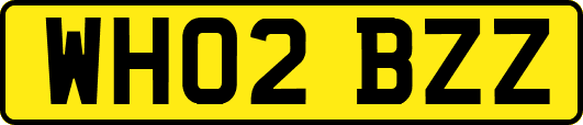 WH02BZZ