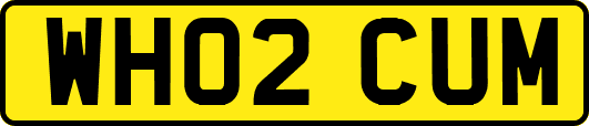 WH02CUM