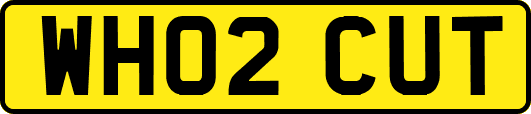 WH02CUT