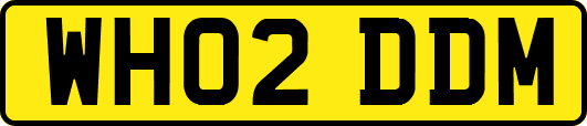 WH02DDM