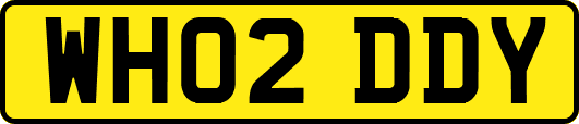 WH02DDY