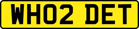 WH02DET