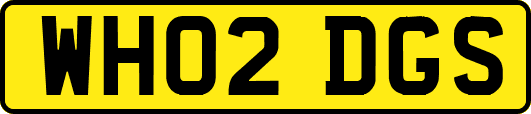 WH02DGS