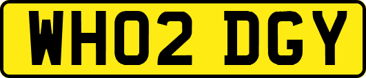 WH02DGY