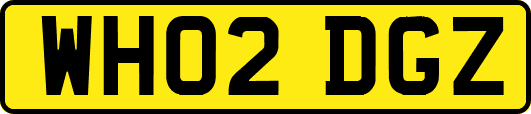 WH02DGZ
