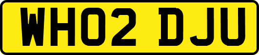 WH02DJU