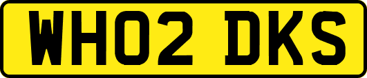 WH02DKS