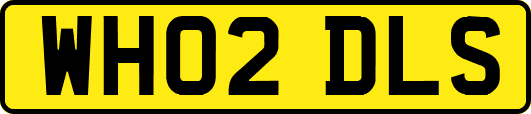 WH02DLS
