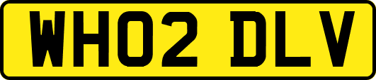 WH02DLV