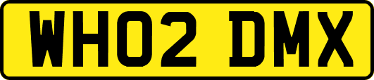 WH02DMX