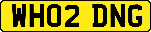 WH02DNG
