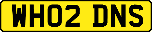 WH02DNS