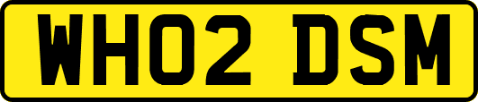 WH02DSM