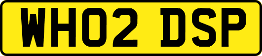 WH02DSP