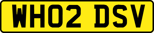 WH02DSV