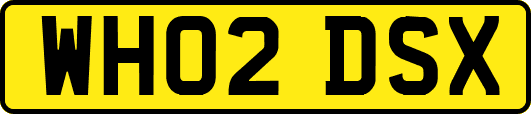 WH02DSX