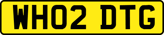 WH02DTG