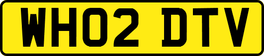 WH02DTV