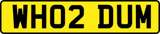 WH02DUM