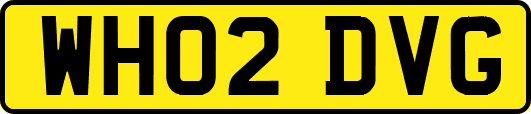 WH02DVG