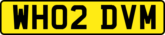 WH02DVM