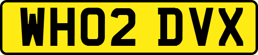 WH02DVX