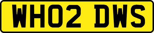 WH02DWS