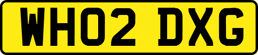 WH02DXG