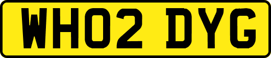 WH02DYG