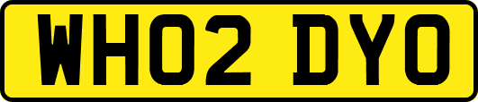 WH02DYO