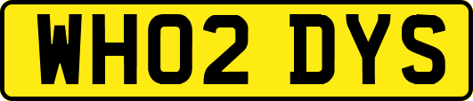 WH02DYS